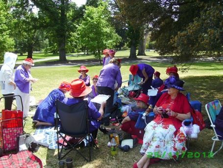 annual-melb-picnic45